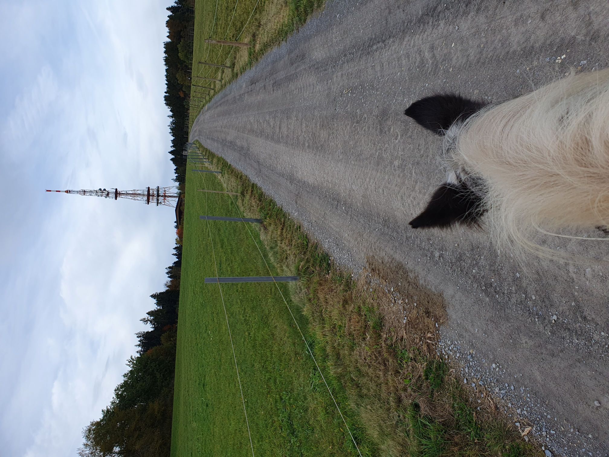 2023 11 November 561